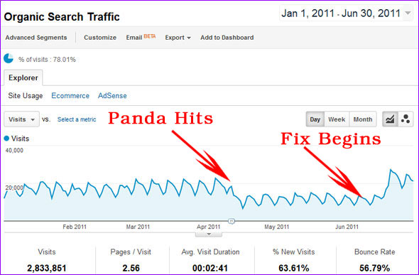 google-panda-hit