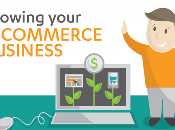 Growing Your E-commerce Start Up