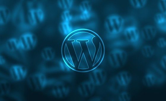 Web Developers Prefer WordPress