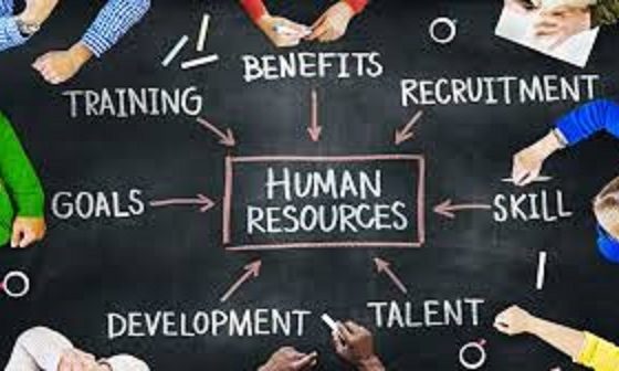 Human Resource