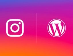 Embed Instagram Feed