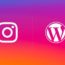 Embed Instagram Feed