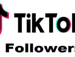 Increase Followers on TikTok