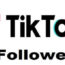 Increase Followers on TikTok